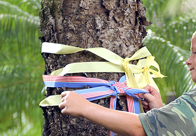 tree-dres.jpg