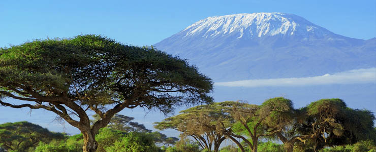 I gopa mynydd Kilimanjaro